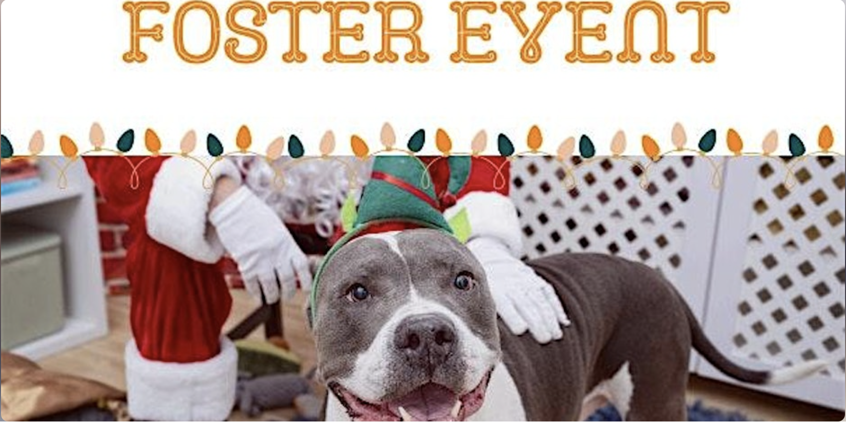 Home for the Holidays Foster Event